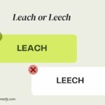 Leach or Leech 